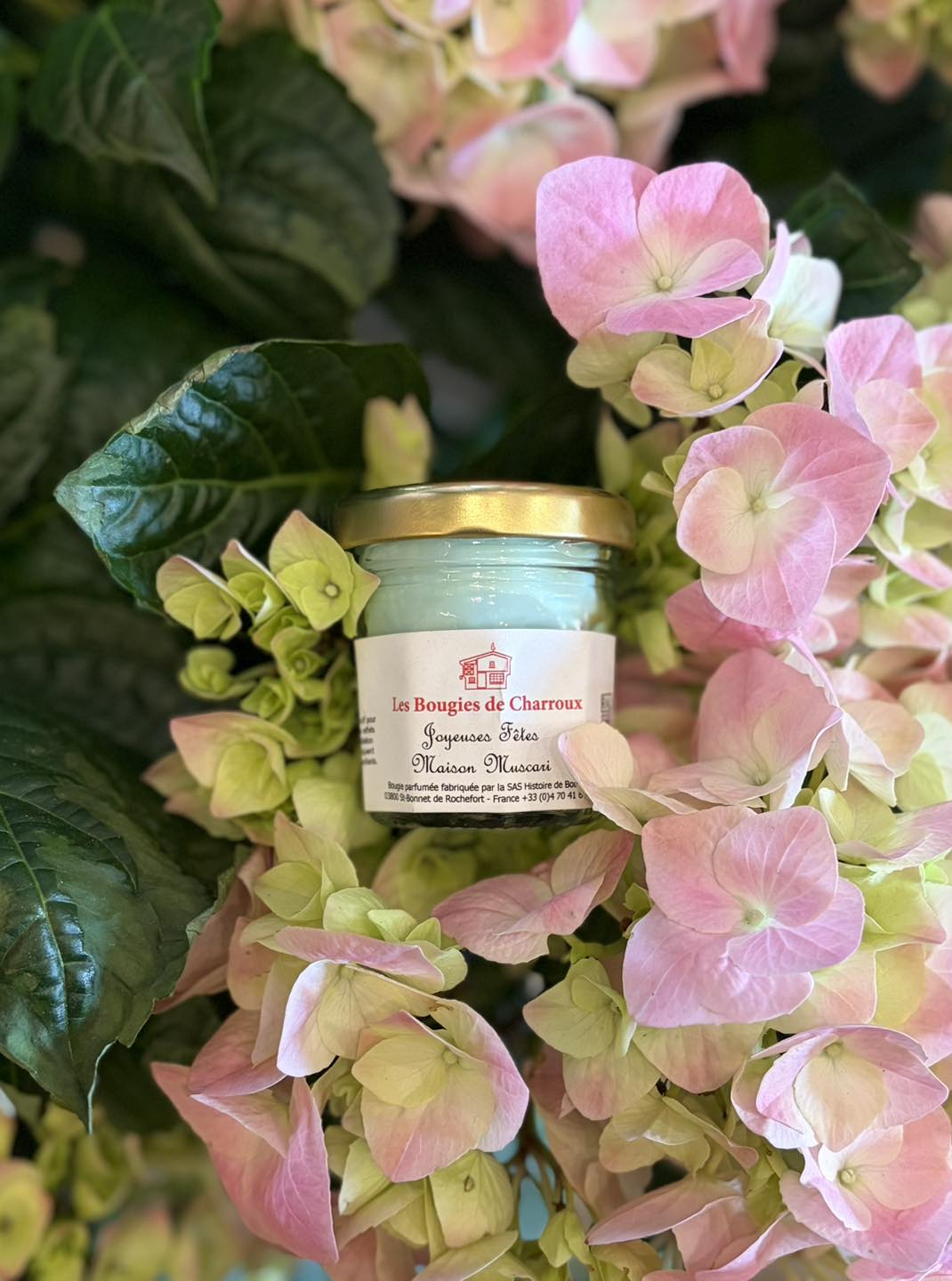 Bougie artisanale et hortensias roses — Maison Muscari