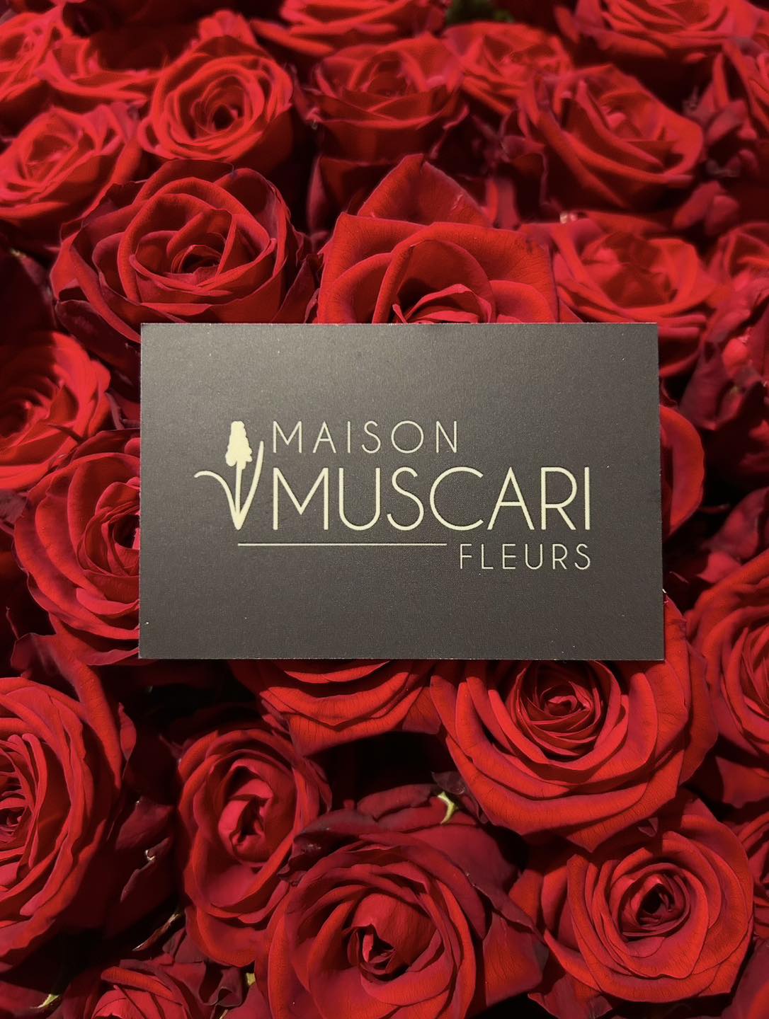 Carte de visite Maison Muscari sur un lit de roses rouges