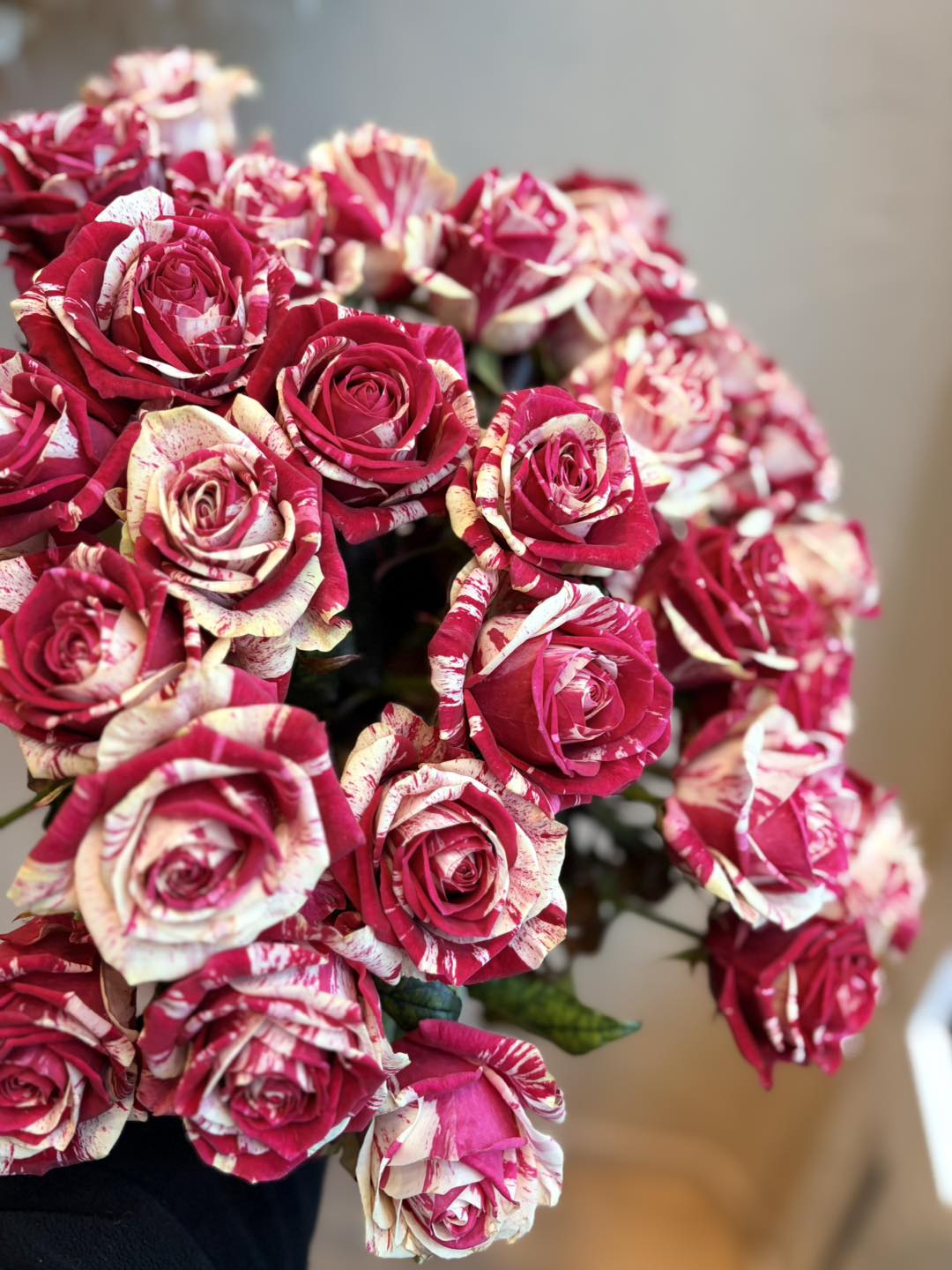 Bouquet de roses bicolores roses et blanches — Maison Muscari